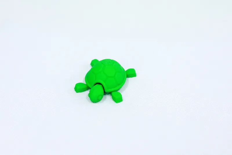 Cute Baby Turtle