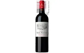 CHATEAU DE BARBREBLANC SAINT EMILION Merlot – Cab. Franc (FR)