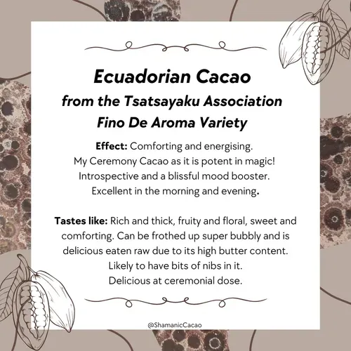 Ceremonial Grade Cacao - Ecuador - Introspective