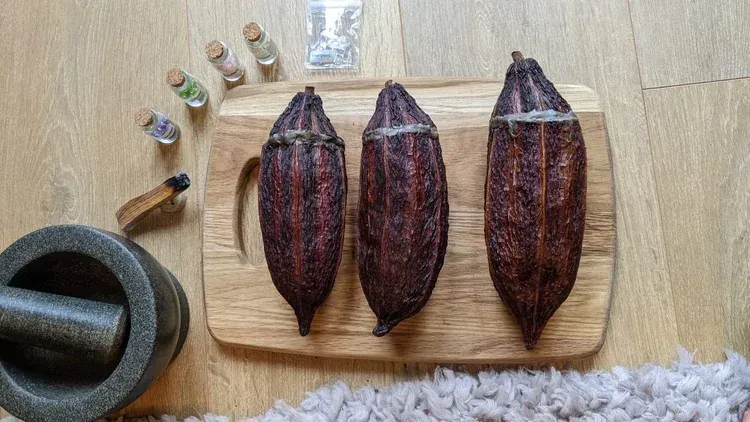 Cacao pod Rattles