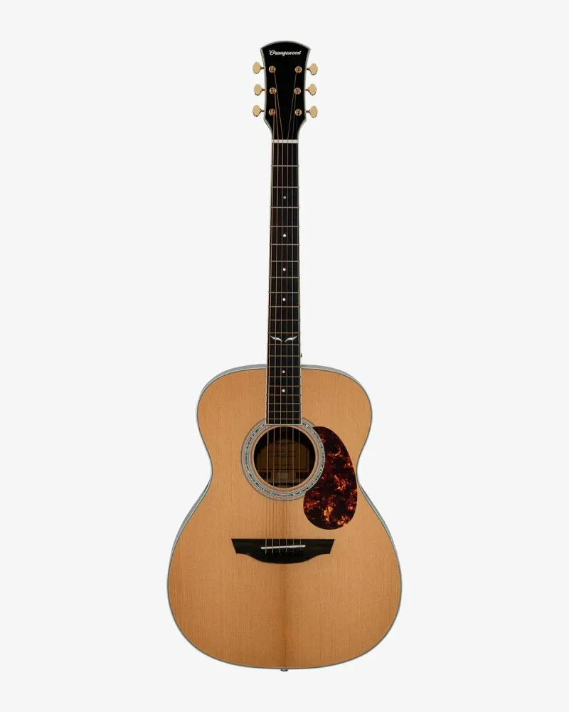 Fretted Strings