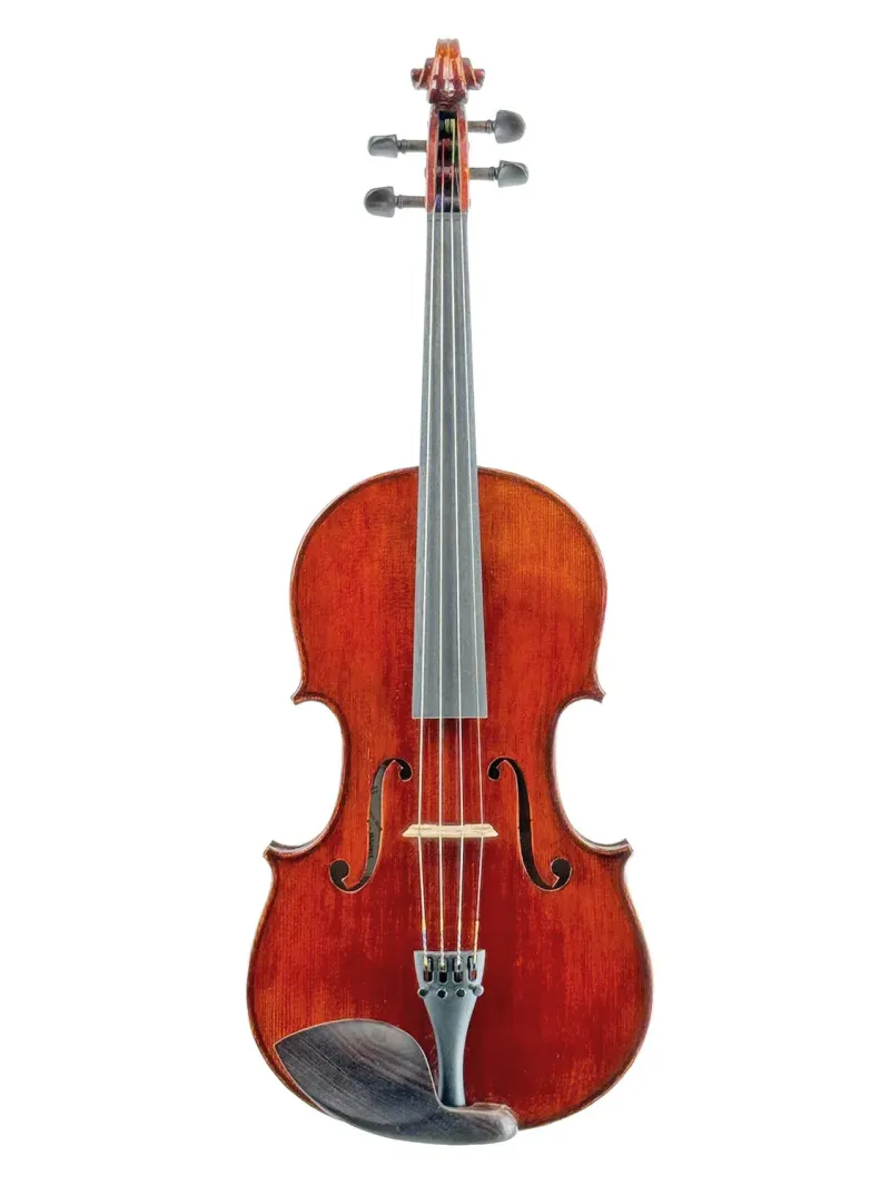 Viola