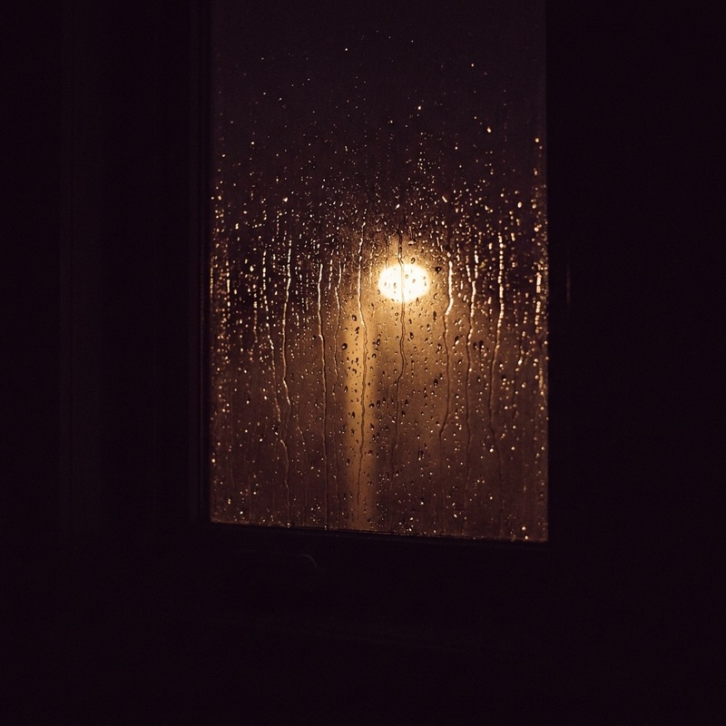 The Window