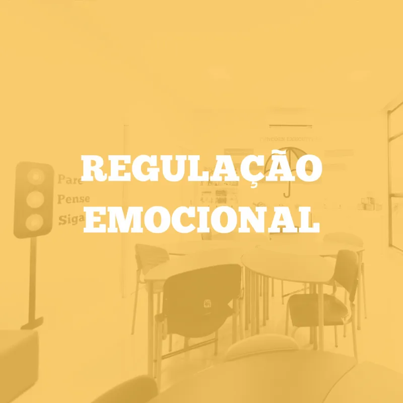 Regulação Emocional