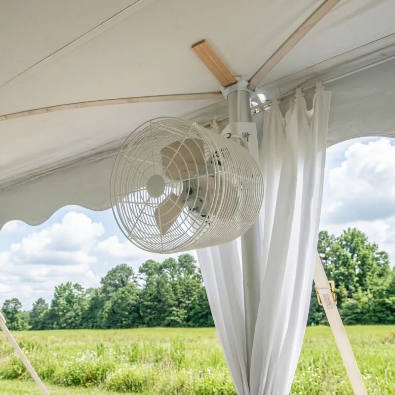 Regular & Pedestal Fans