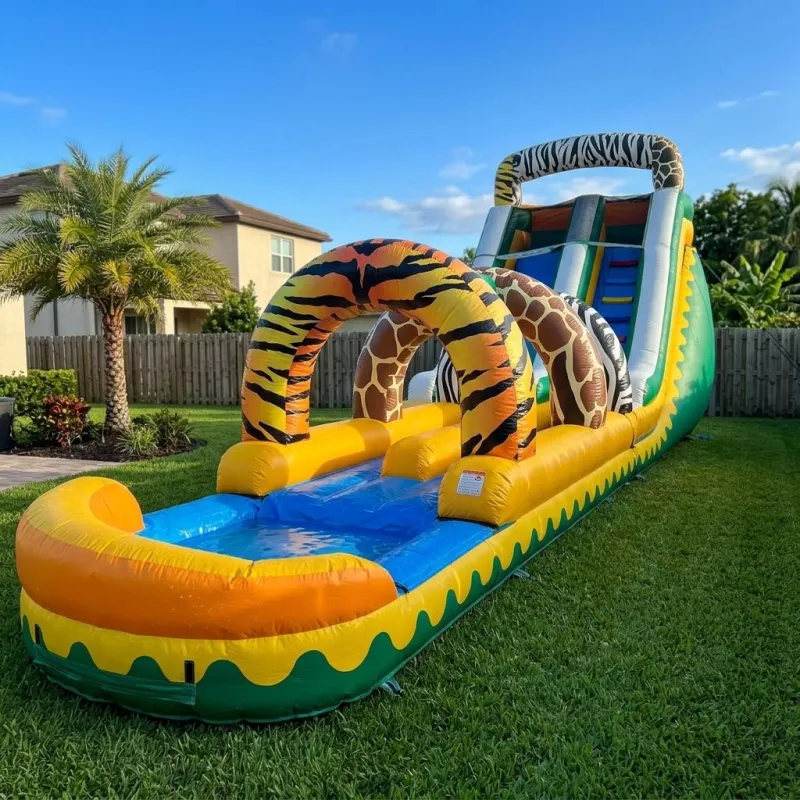 Slides (Dry or Wet)