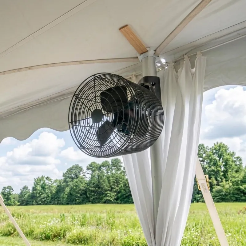 Regular Fans