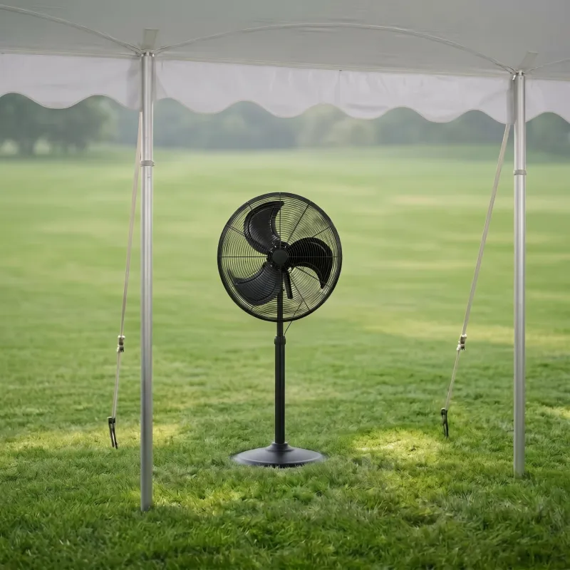 Pedestal Fans