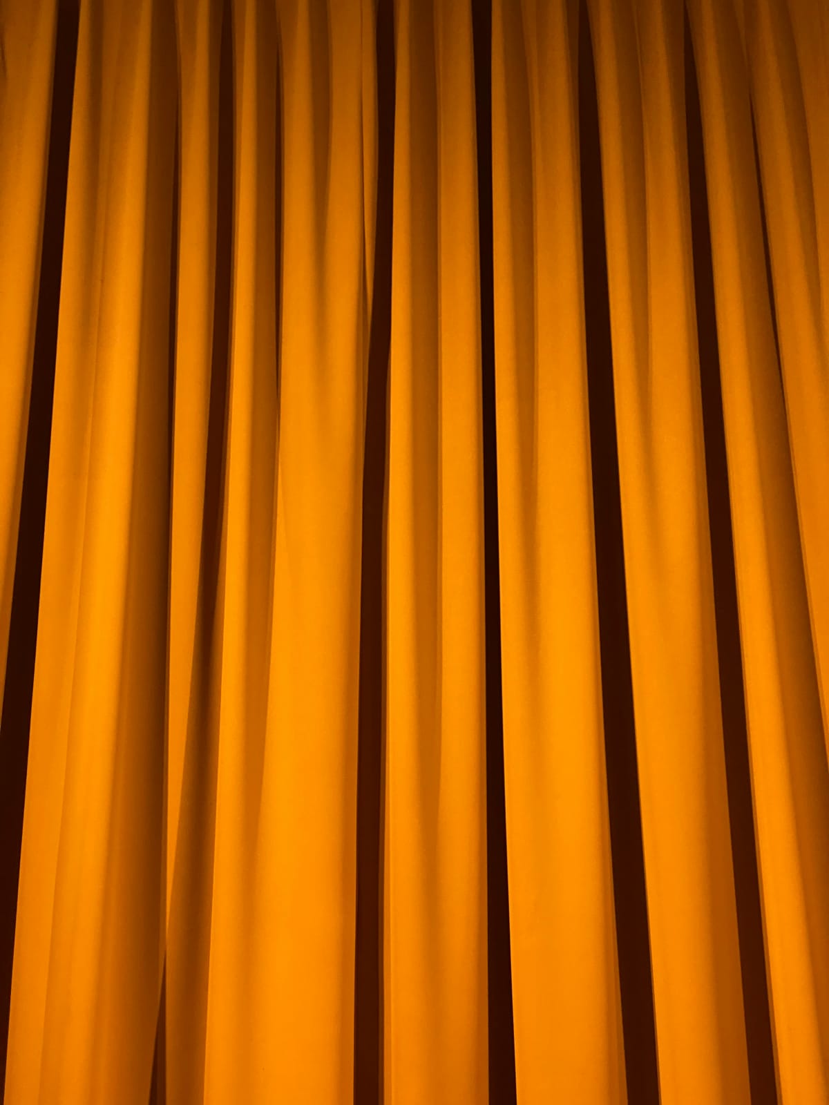 Velvet Curtain - Amber Gold