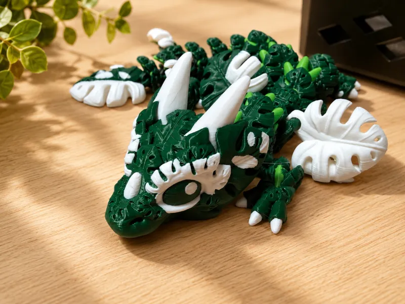 Baby Monstera Plant Dragon