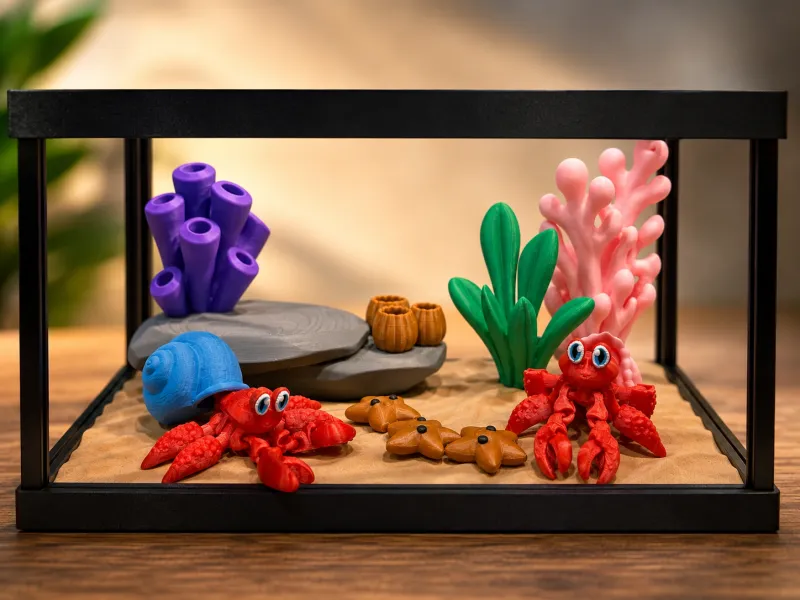Hermit Crab Tiny Terrarium
