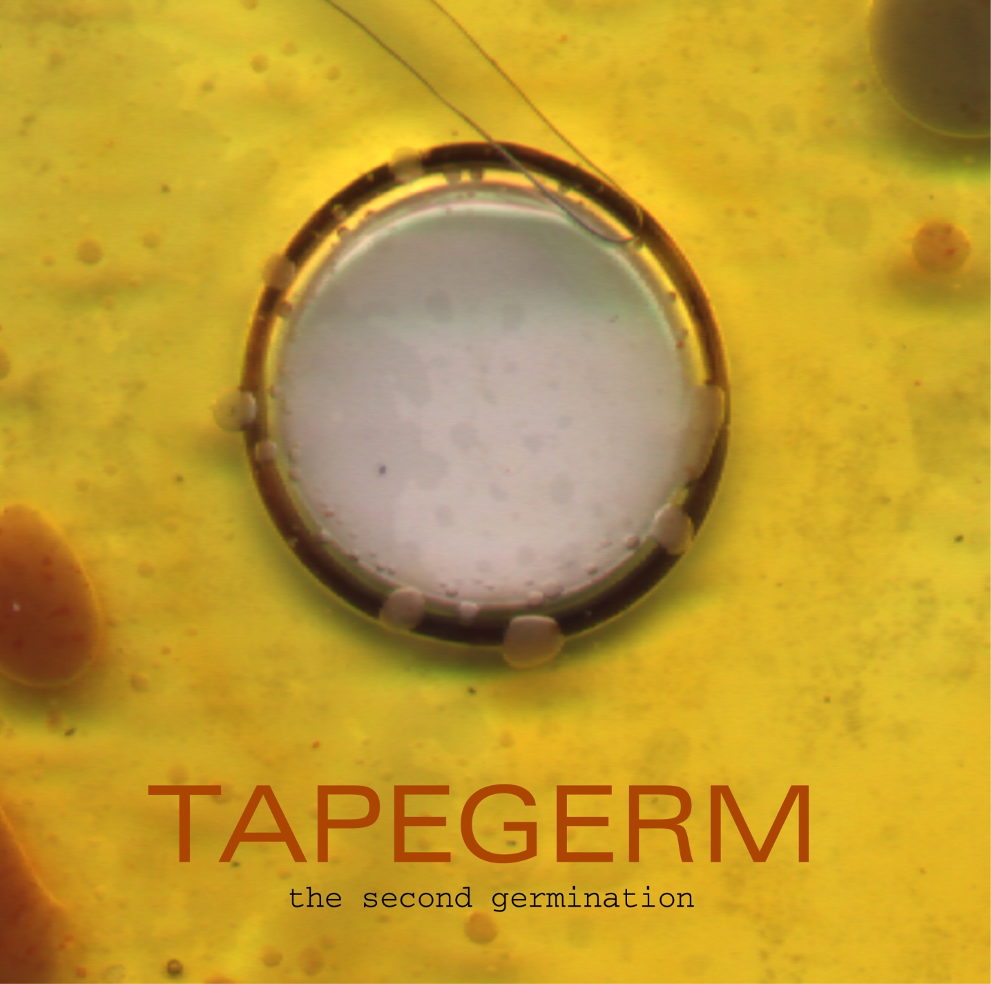 Tapegerm Collective Vol. 1 No. 2