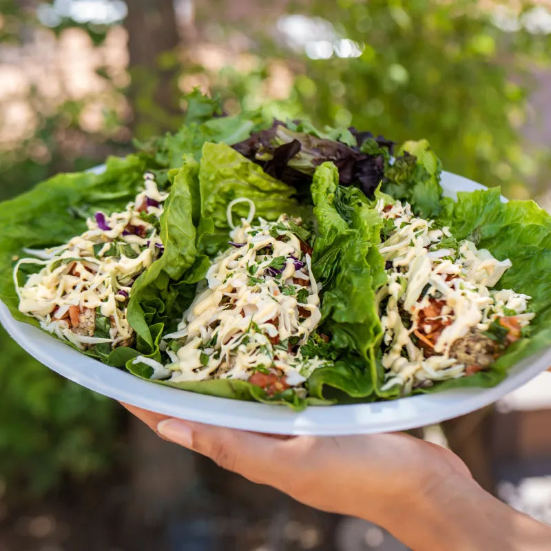 Green Garden Lettuce Wraps (RAW Food Item)