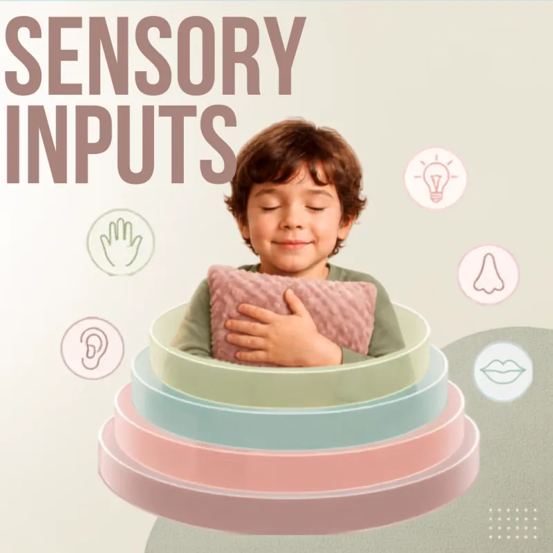 Sensory Inputs