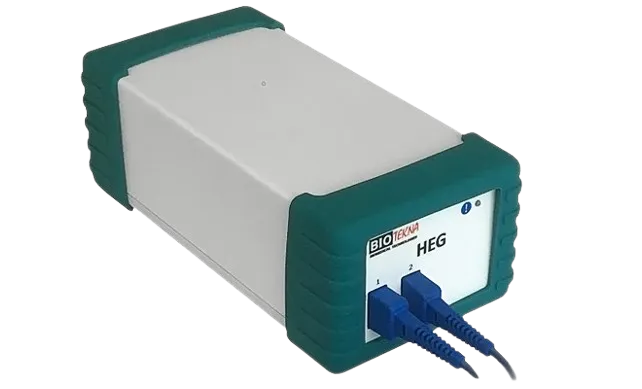 HEG Brain Metabolism 