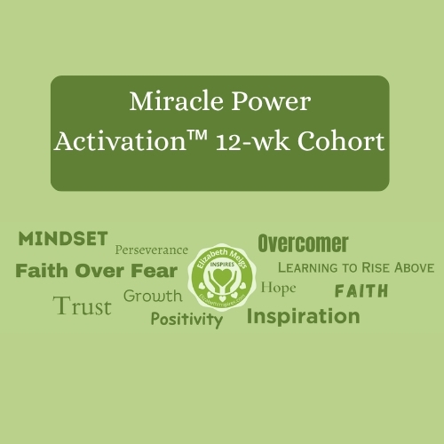 Miracle Power Activation™ 12-Week Cohort