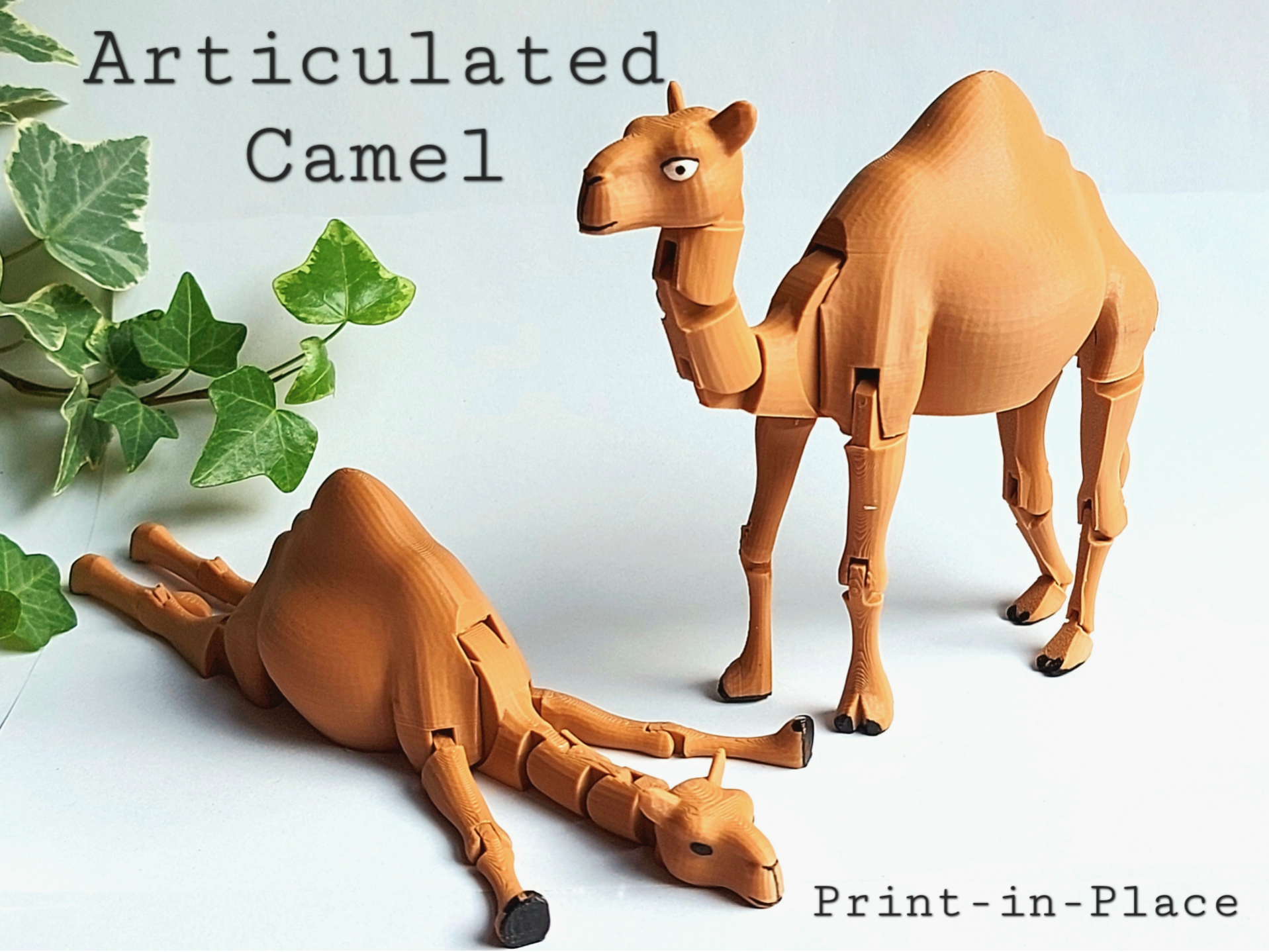 Flexible Camel