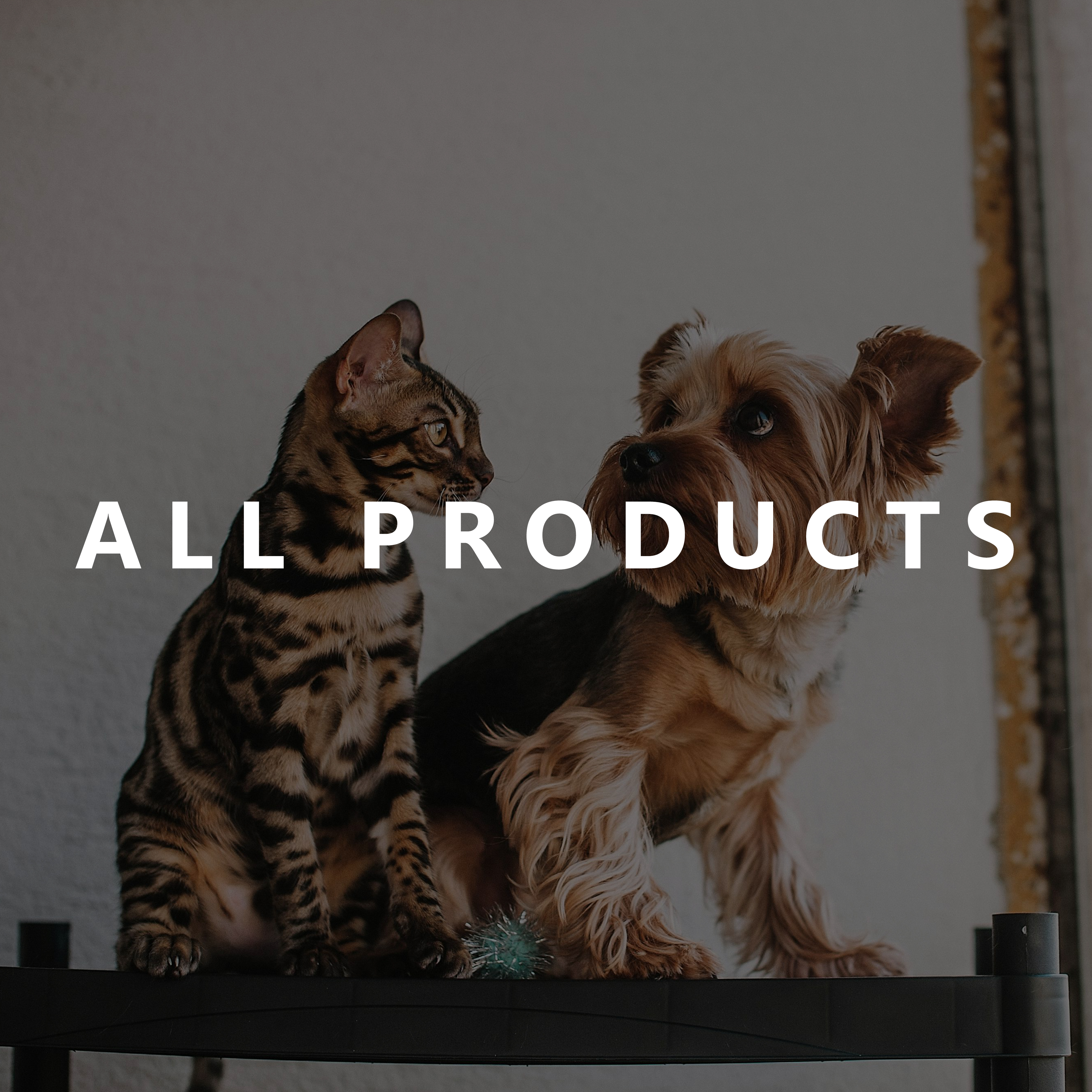 All Products