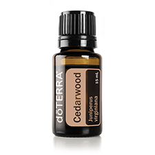 Кедрово дърво / Cedarwood – 15 мл.