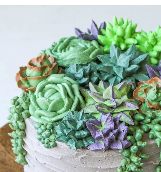 Cake n Sip Buttercream Succulents