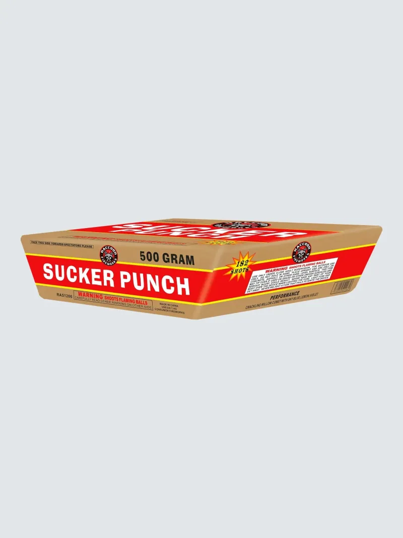 SUCKER PUNCH