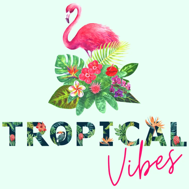 Tropical Vibes Bootcamp