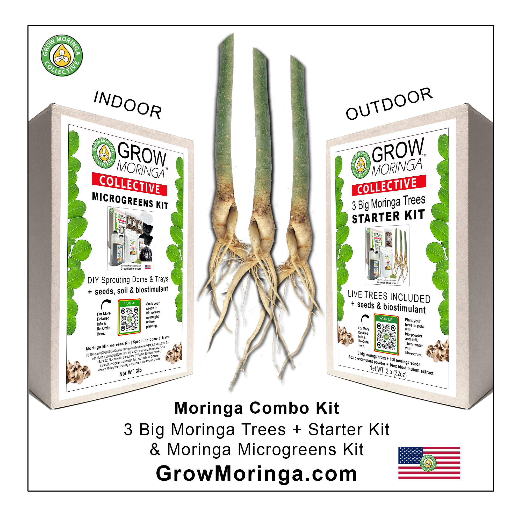 Moringa Combo Kit