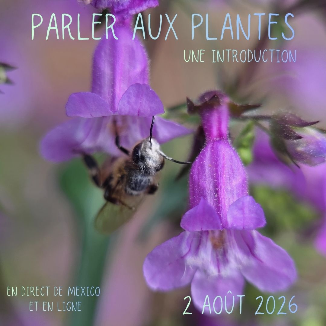 Introduction à « Parler aux plantes » – Août 2026 (TTTP Intro - FR)