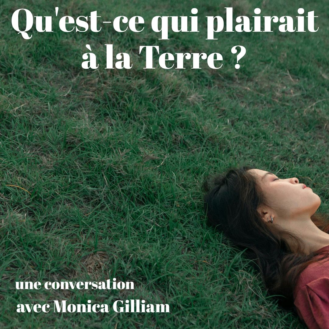 Qu'est-ce qui plairait à la Terre ? (What Would the Earth Like? - FR)