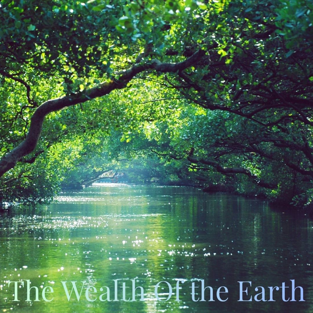 The Wealth of the Earth Series