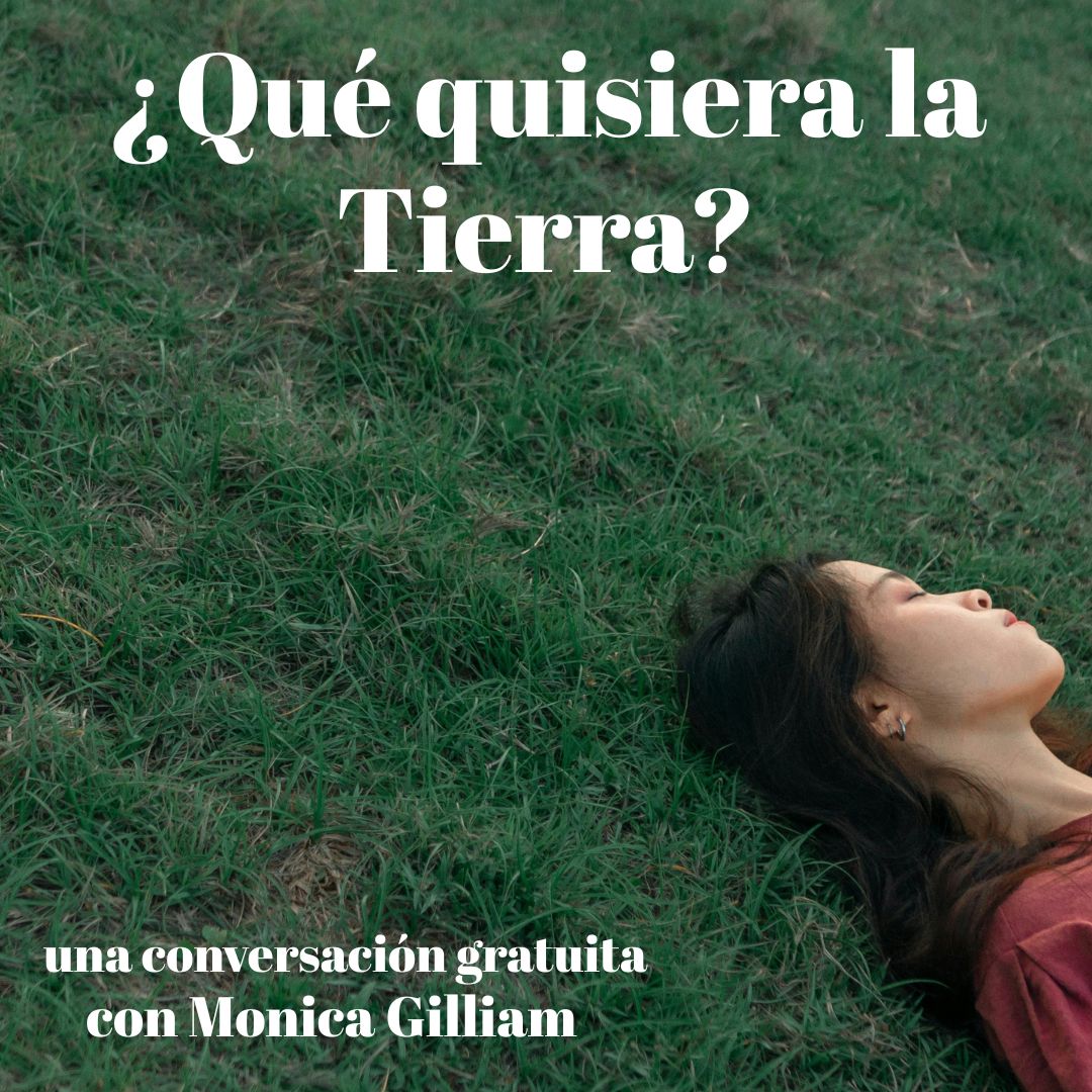 ¿Qué quisiera la Tierra? (What Would the Earth Like SP)