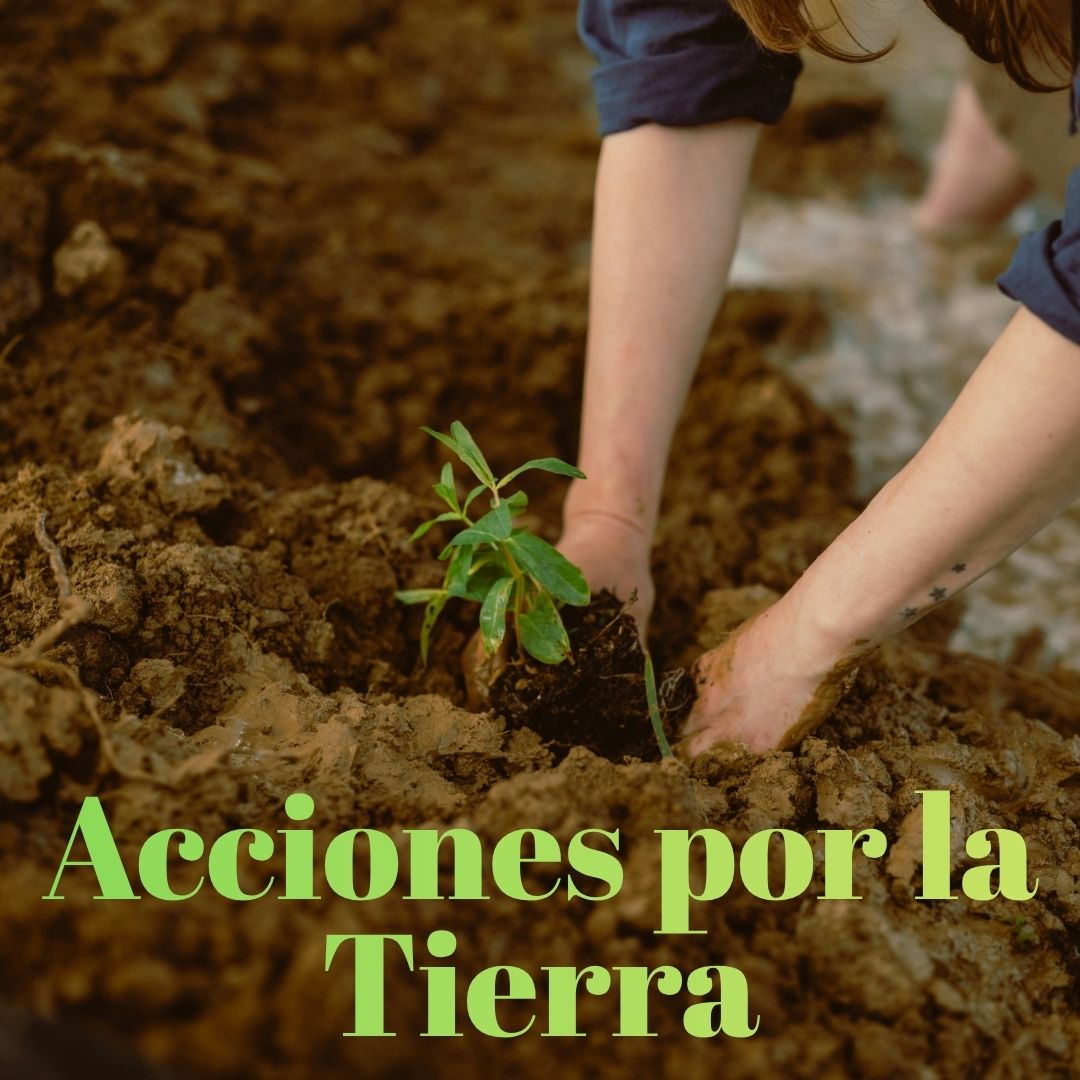 Acciones por la Tierra (SP - Earth Actions)
