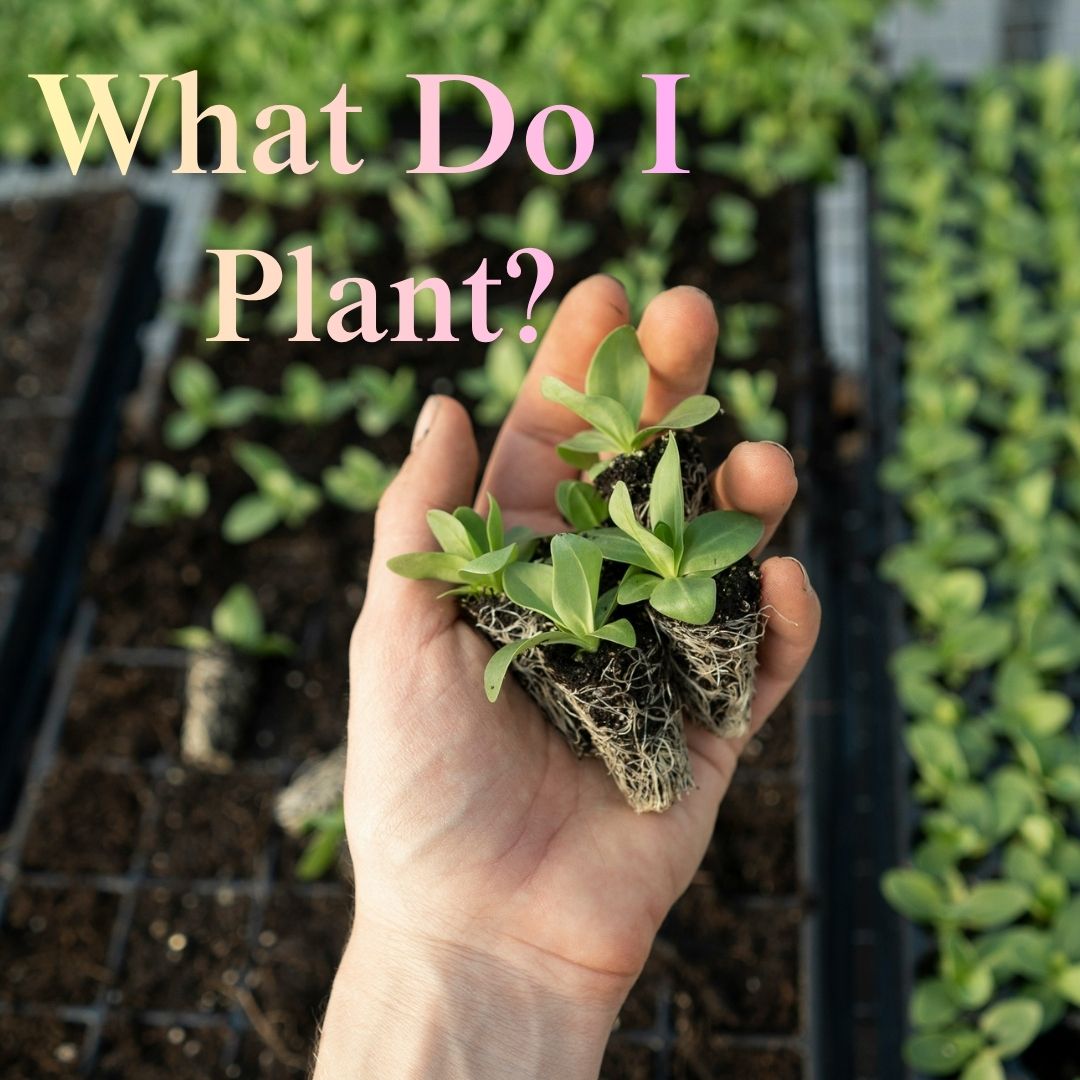 What Do I Plant? A Conversation with the Earth