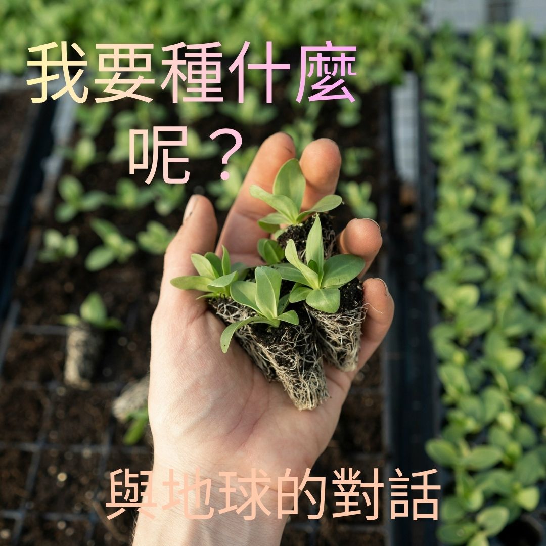 我要種什麼呢？與地球的對話 (Trad Chi What Do I Plant)