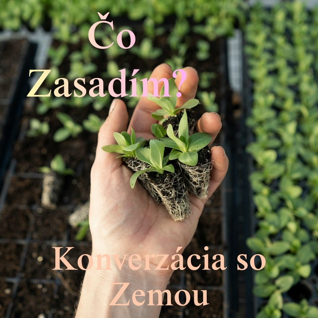 Čo Zasadím? (Czech - What Do I Plant?)