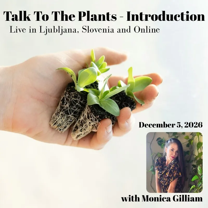 Talk To The Plants - Introduction - Slovenia