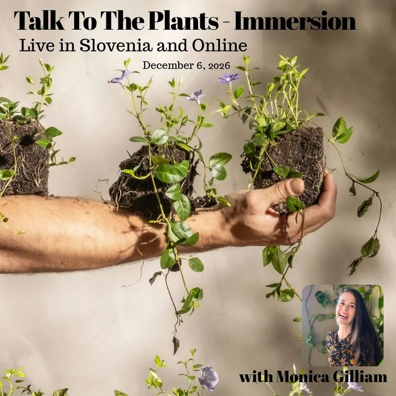 Talk To The Plants Immersion - Slovenia