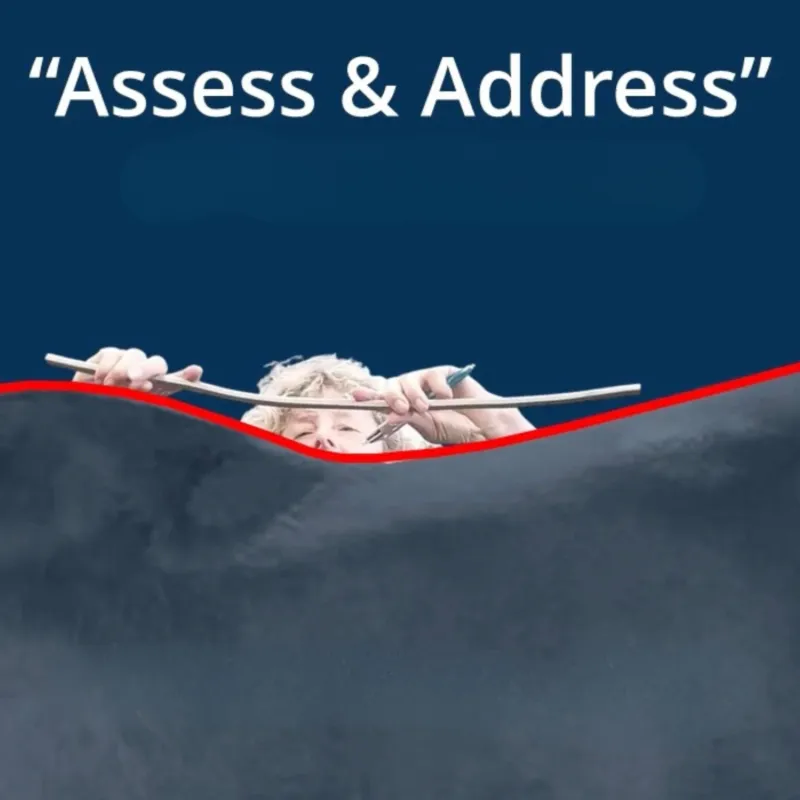 Assess and Address - Ireland Lectures