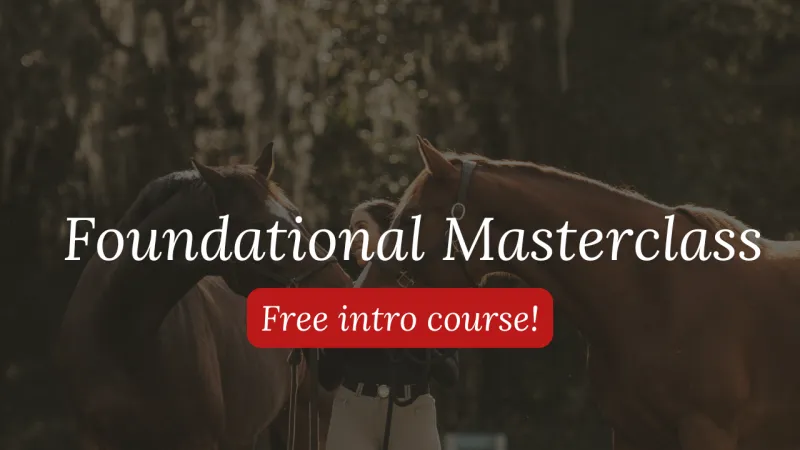 Free Foundational Masterclass
