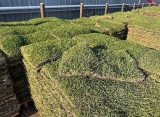 Bermuda (500 sq. ft.)