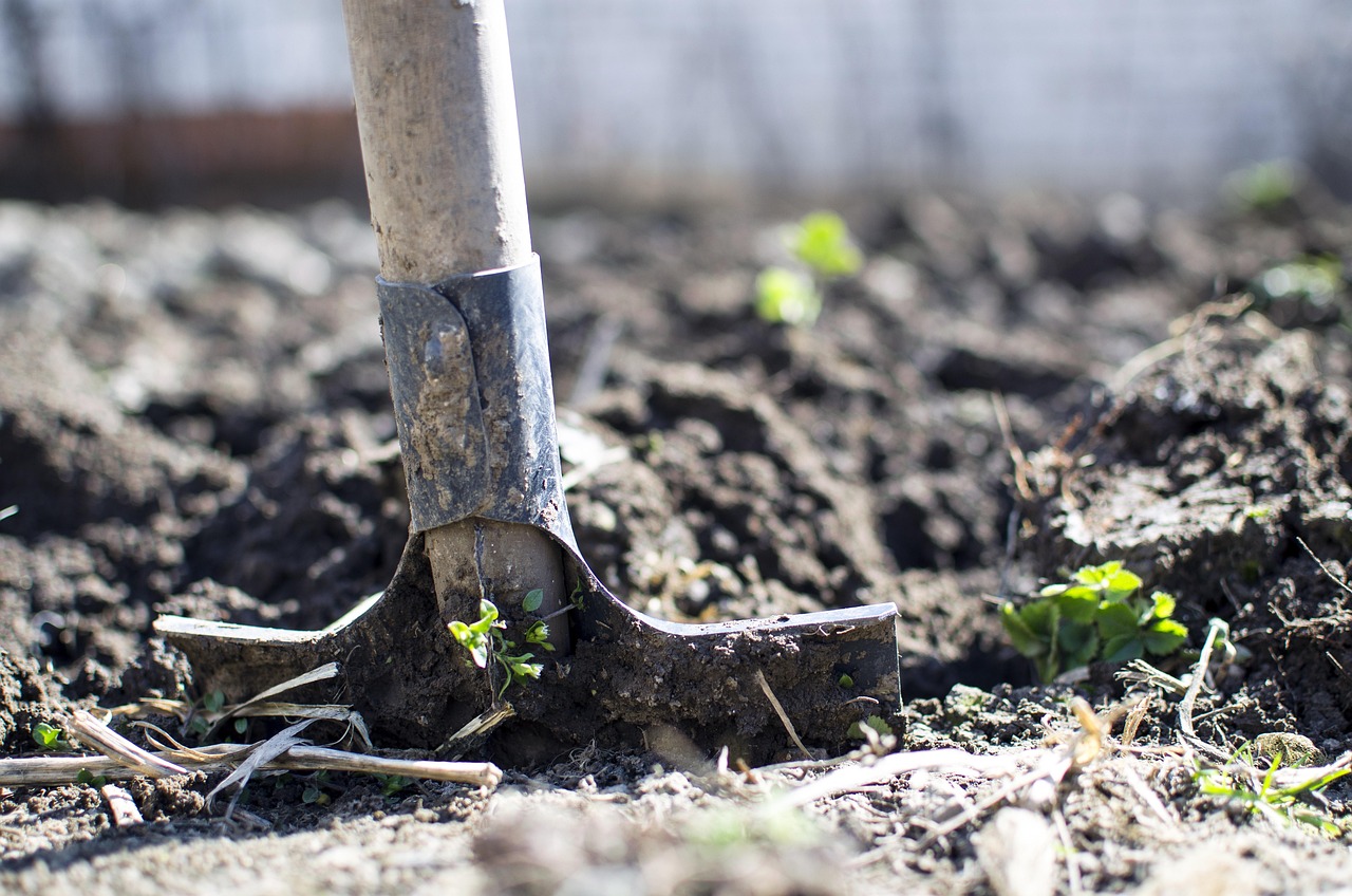 Top Soil Add-On