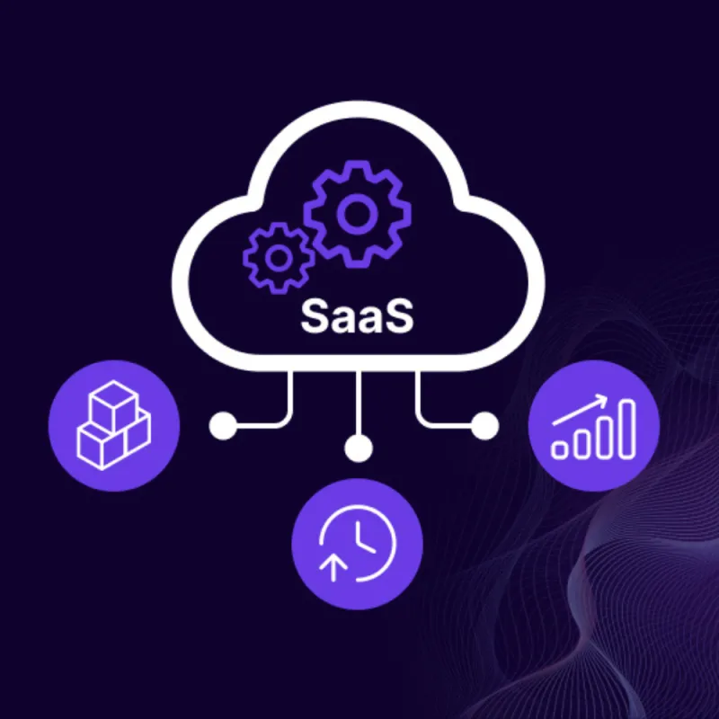 SaaS Snapshot