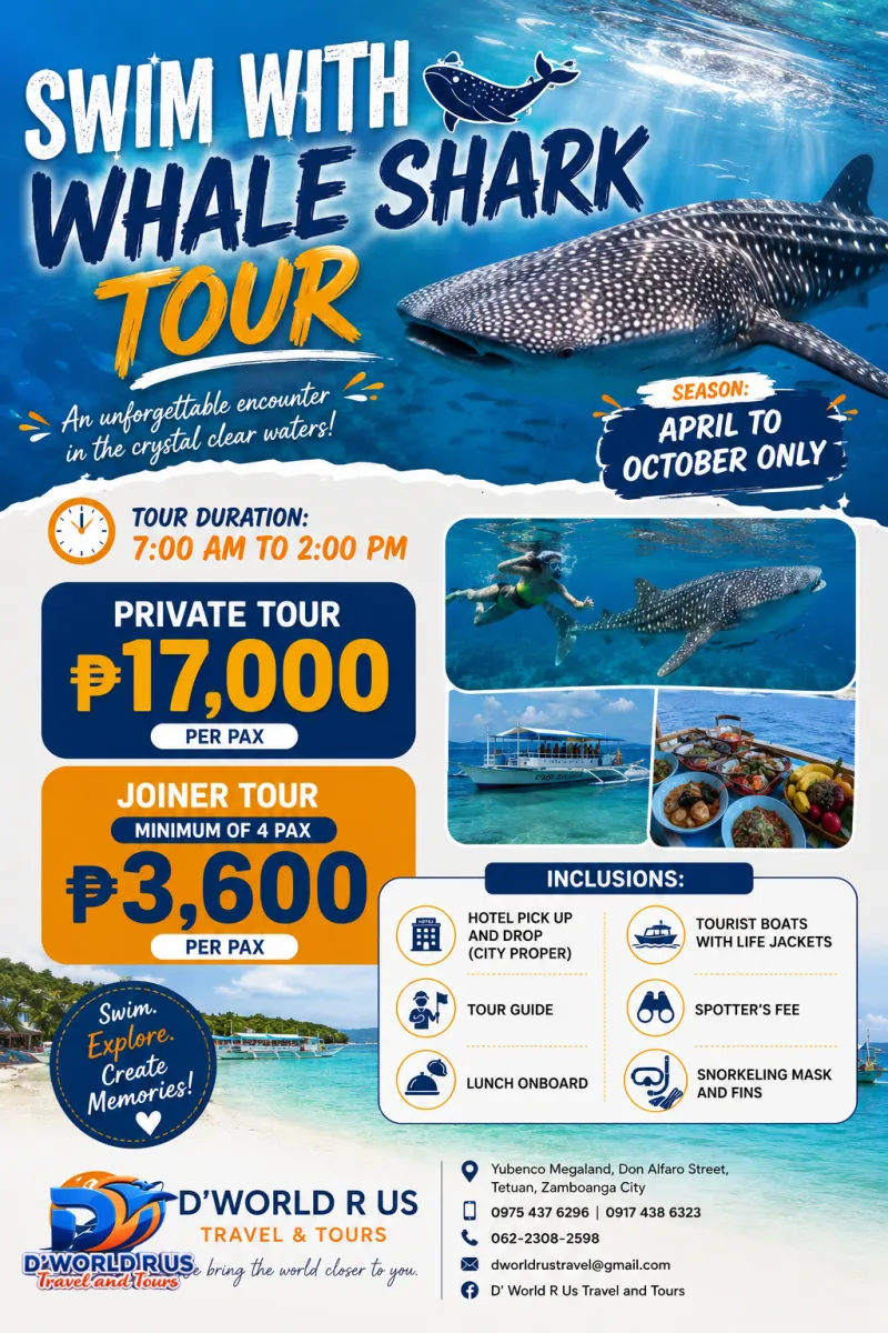 SWIM WITH WHALE SHARK TOUR