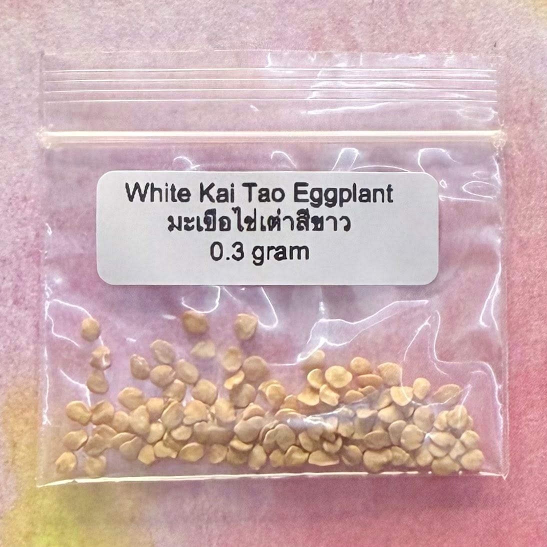 White Kai Tao Eggplant / มะเขือไข่เต่าขาว