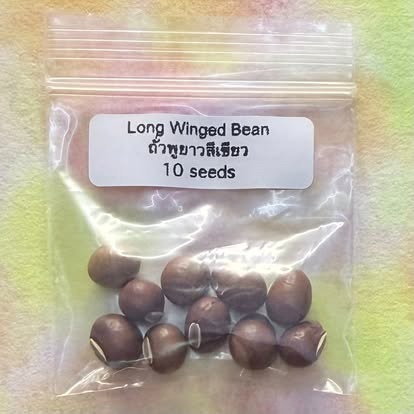 Long Winged Bean / ถั่วพูยาวสีเขียว