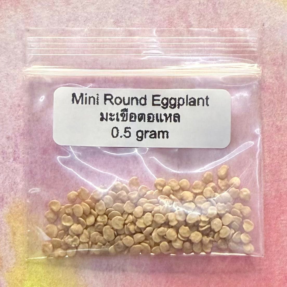 Mini Round Eggplant / มะเขือตอแหล