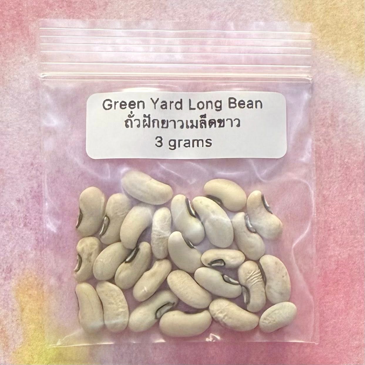 Green Yard Long Bean (Prolific) / ถั่วฝักยาวเขียวดก