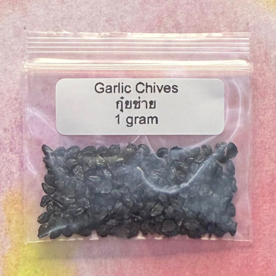 Garlic Chives / กุ๋ยช่าย