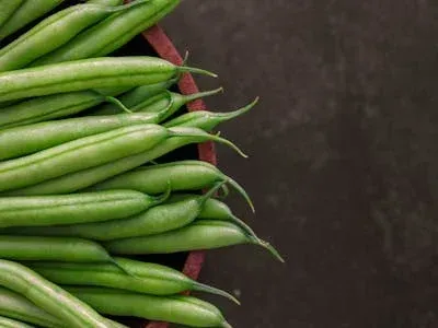 Beans & Legumes / ถั่ว