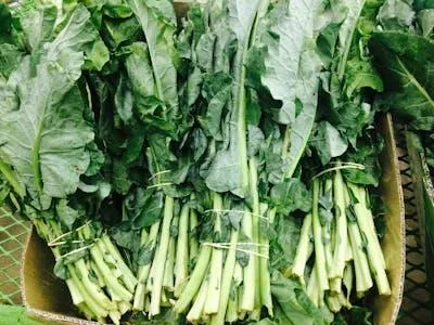 Greens & Leafy / ผักใบเขียว